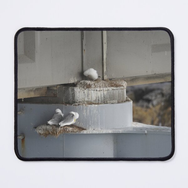 Item preview, Larus argentatus designed and sold by Norwegian Outdoors.