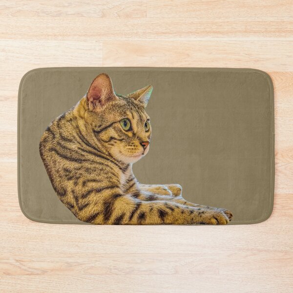 Item preview, Bengal Kitten just pondering mischief designed and sold by Dalyndigital Photography.