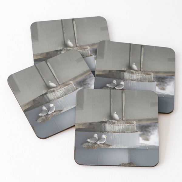 Item preview, Larus argentatus designed and sold by Norwegian Outdoors.