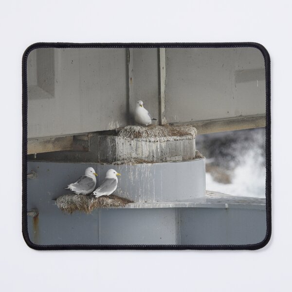 Item preview, Larus argentatus designed and sold by Norwegian Outdoors.