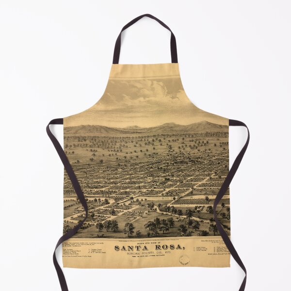 Item preview, Santa Rosa, California (1876) designed and sold by allhistory.