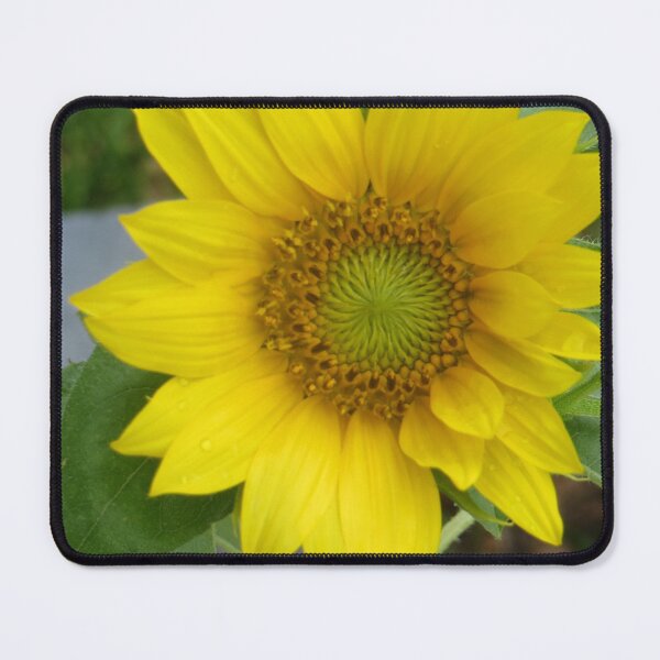 Item preview, Sunflower designed and sold by DesignsbyAunt.