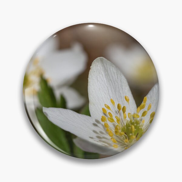 Item preview, Wood anemone duo designed and sold by Jouko Lehto Photography.