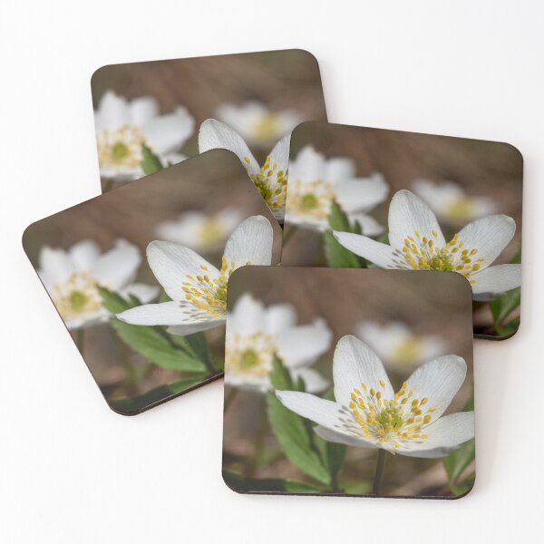 Item preview, Wood anemone duo designed and sold by Jouko Lehto Photography.