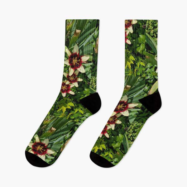 Item preview, Hawaiian Flowers designed and sold by YHWH Photography.