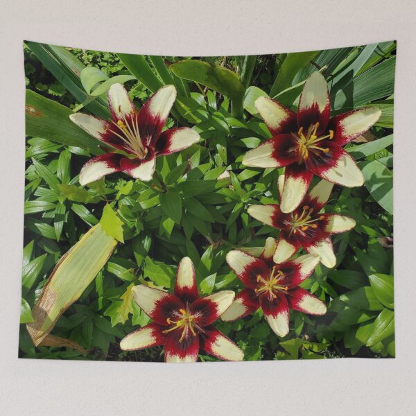Item preview, Hawaiian Flowers designed and sold by YHWH Photography.