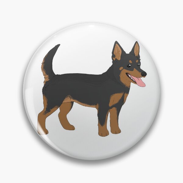 Item preview, Lancashire Heeler cartoon design  designed and sold by WaterbugDesign.