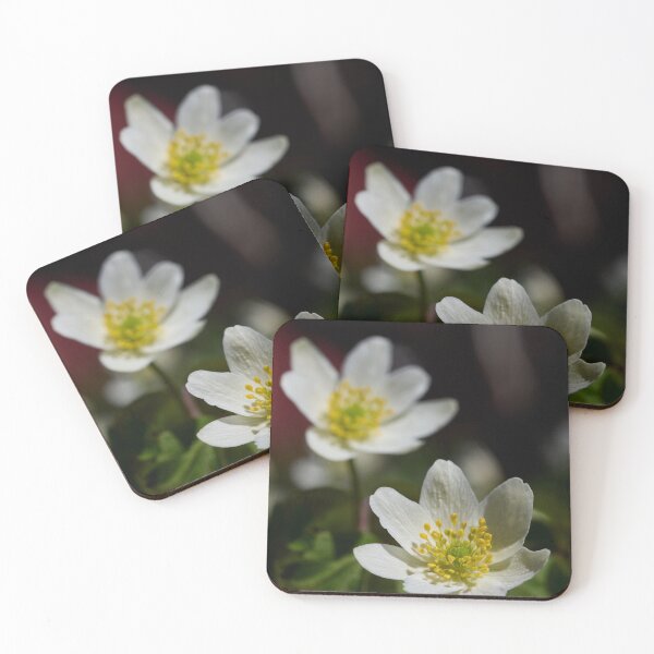 Item preview, Wood anemone duo 2 designed and sold by Jouko Lehto Photography.