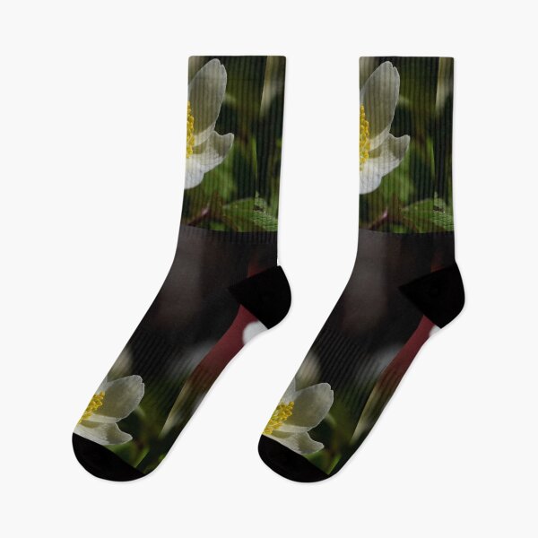 Item preview, Wood anemone duo 2 designed and sold by Jouko Lehto Photography.