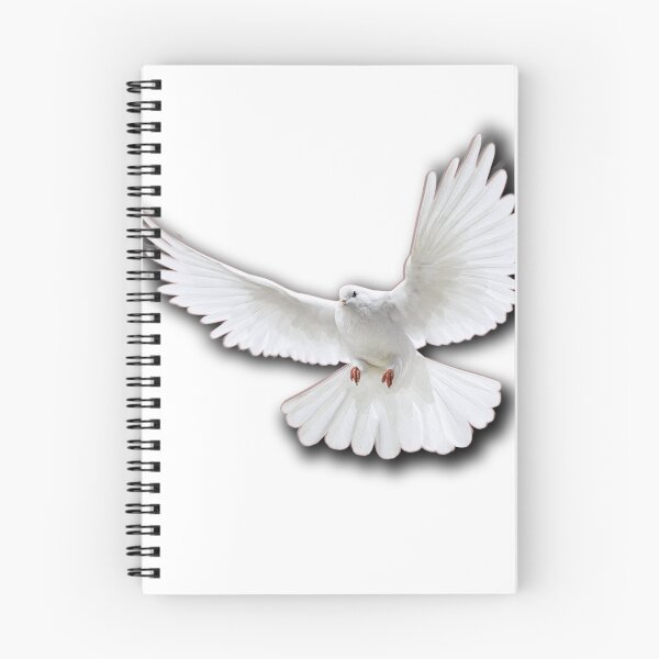 Item preview, pigeon design products best quality design  designed and sold by Harmeetgabb.