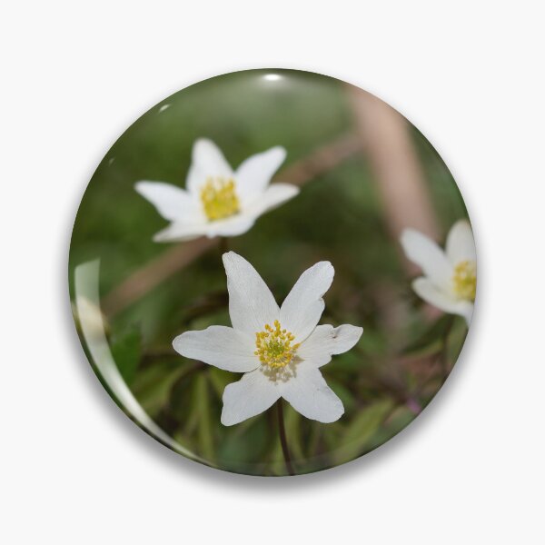 Item preview, Seven. Wood anemone designed and sold by Jouko Lehto Photography.