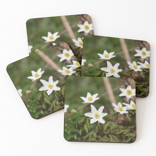 Item preview, Seven. Wood anemone designed and sold by Jouko Lehto Photography.