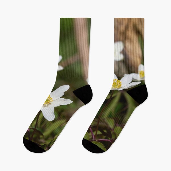 Item preview, Seven. Wood anemone designed and sold by Jouko Lehto Photography.