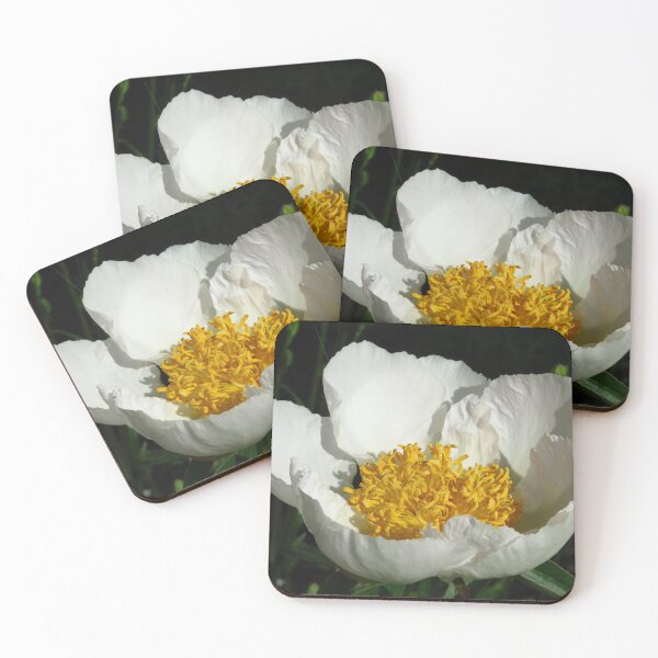 Item preview, White Peony designed and sold by wiggyofipswich.