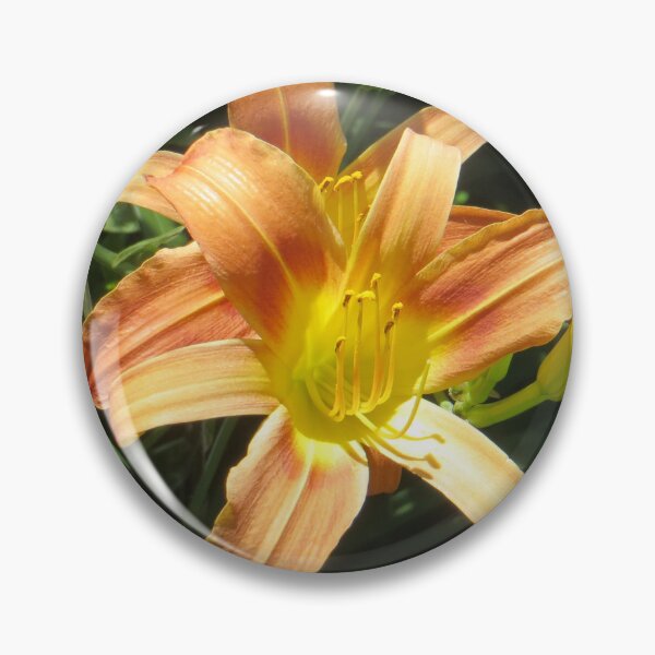 Item preview, Daylily designed and sold by DesignsbyAunt.