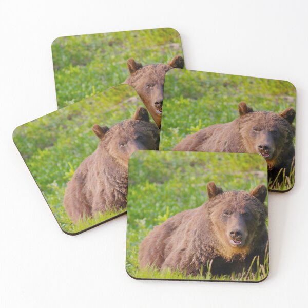 Item preview, Bear Country  designed and sold by Barbara Brander.