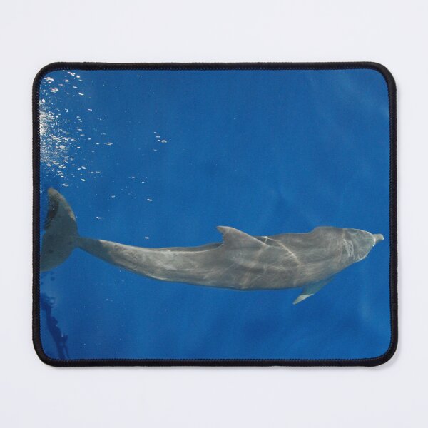 Item preview, Dolphin at the bow designed and sold by Leon Heyns.