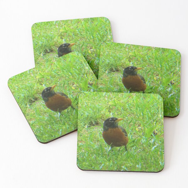 Item preview, Robin  designed and sold by DesignsbyAunt.