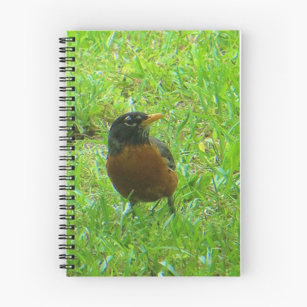 Item preview, Robin  designed and sold by DesignsbyAunt.