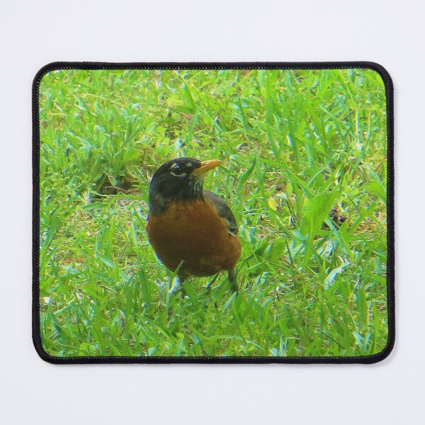 Item preview, Robin  designed and sold by DesignsbyAunt.