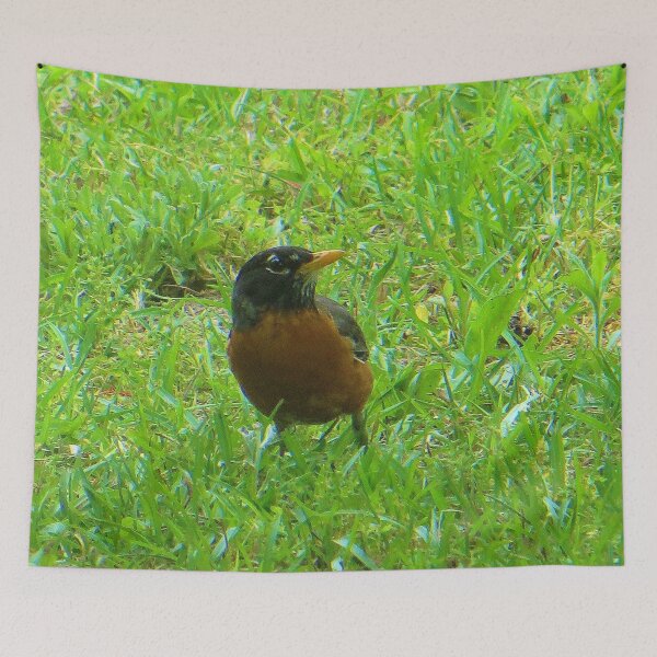 Item preview, Robin  designed and sold by DesignsbyAunt.