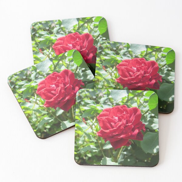 Item preview, Red Rose designed and sold by DesignsbyAunt.