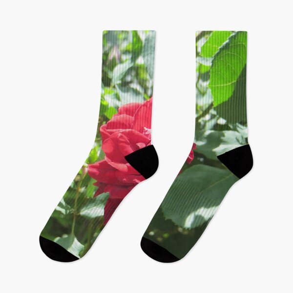 Item preview, Red Rose designed and sold by DesignsbyAunt.