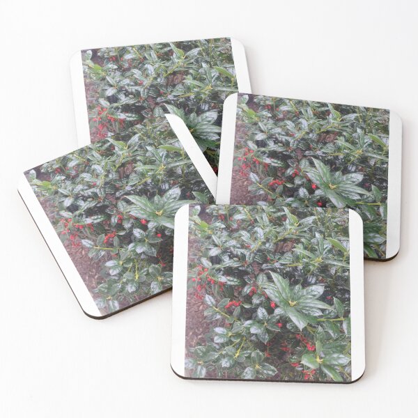 Item preview, Winter Berries  designed and sold by MegsMothyCabin.