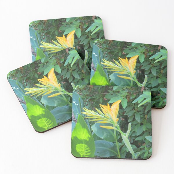 Item preview, Orange Tiger Lily designed and sold by DesignsbyAunt.