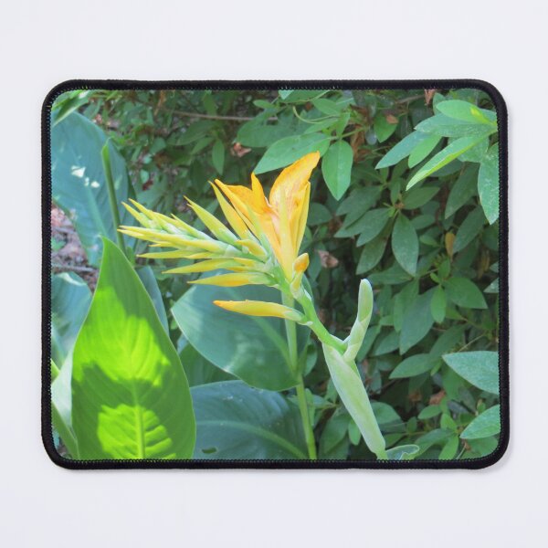 Item preview, Orange Tiger Lily designed and sold by DesignsbyAunt.