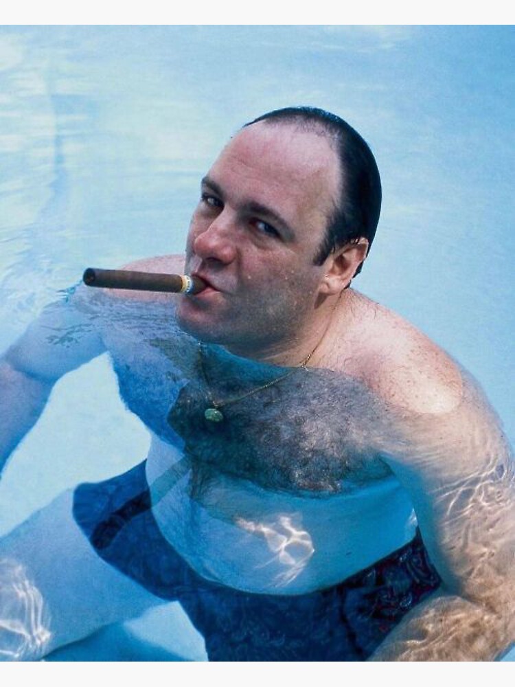 tony soprano Sticker