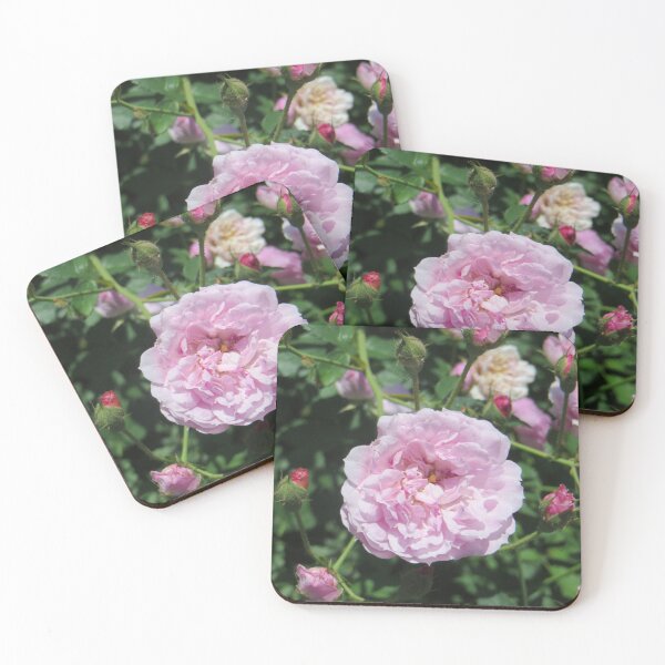 Item preview, Pink Roses designed and sold by DesignsbyAunt.