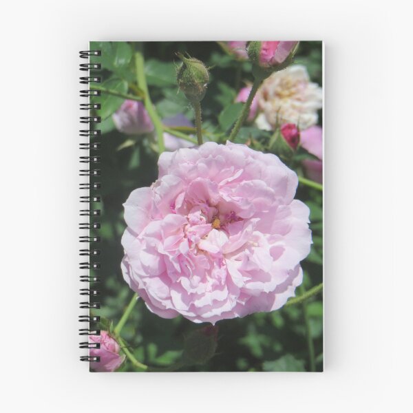 Item preview, Rosas rosadas designed and sold by DesignsbyAunt.