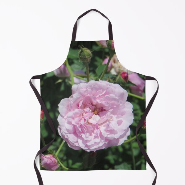 Item preview, Pink Roses designed and sold by DesignsbyAunt.