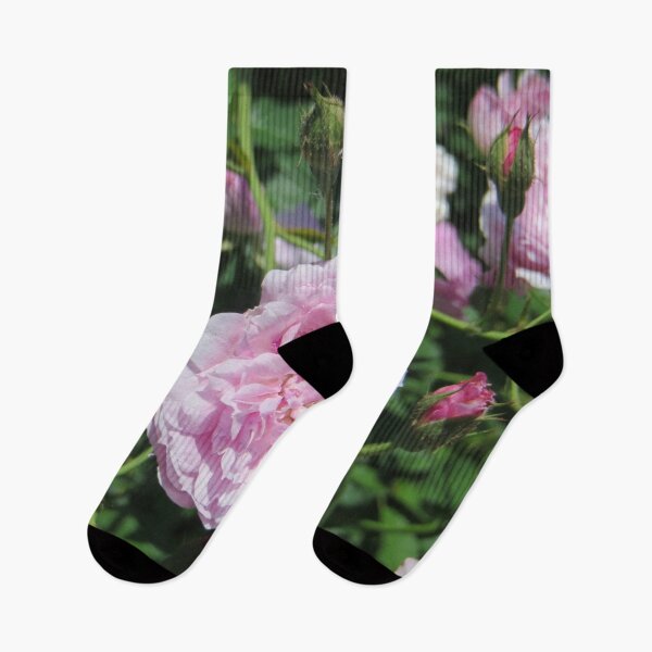 Item preview, Pink Roses designed and sold by DesignsbyAunt.