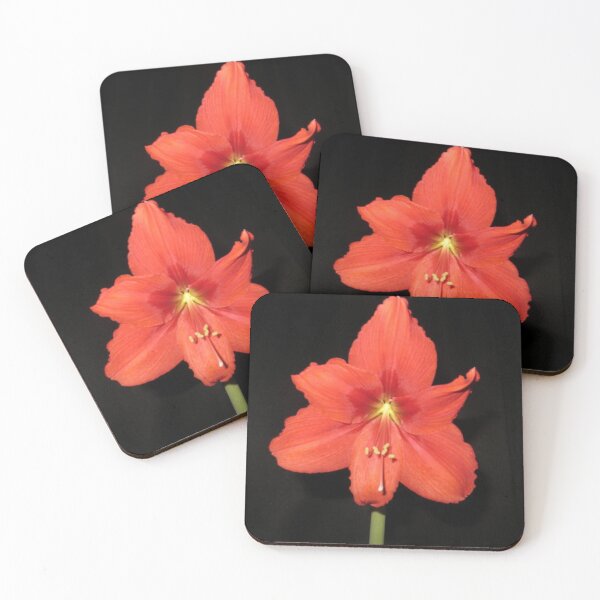Item preview, Red Lion Amaryllis designed and sold by DesignsbyAunt.