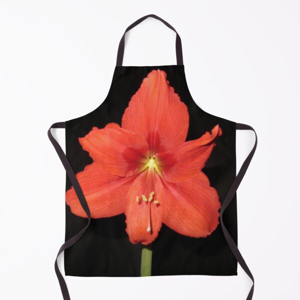Item preview, Red Lion Amaryllis designed and sold by DesignsbyAunt.