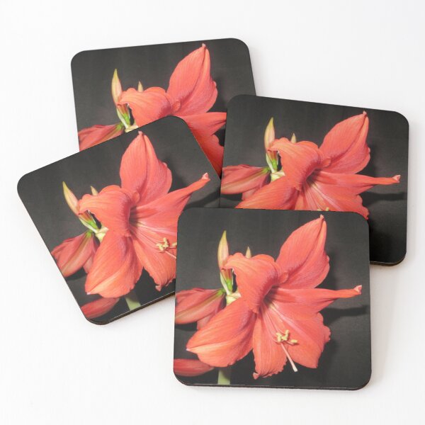 Item preview, Red Lion Amaryllis designed and sold by DesignsbyAunt.
