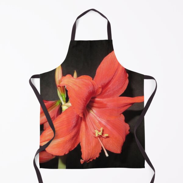 Item preview, Red Lion Amaryllis designed and sold by DesignsbyAunt.