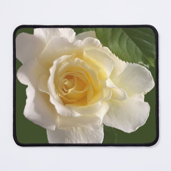 Item preview, White Rose for You designed and sold by AMRansom.