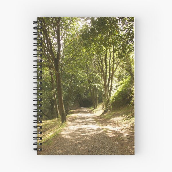 Item preview, Monte del Naranco, Oviedo designed and sold by susanalf.