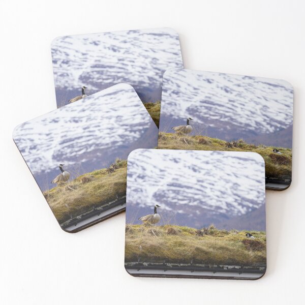 Item preview, Branta canadensis designed and sold by Norwegian Outdoors.