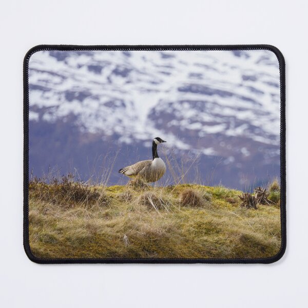 Item preview, Branta canadensis designed and sold by Norwegian Outdoors.