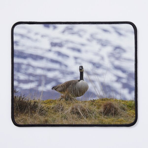 Item preview, Branta canadensis designed and sold by Norwegian Outdoors.