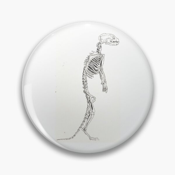 Item preview, Meerkat skeleton  designed and sold by chantalmclay.