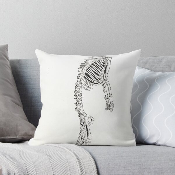 Item preview, Meerkat skeleton  designed and sold by chantalmclay.