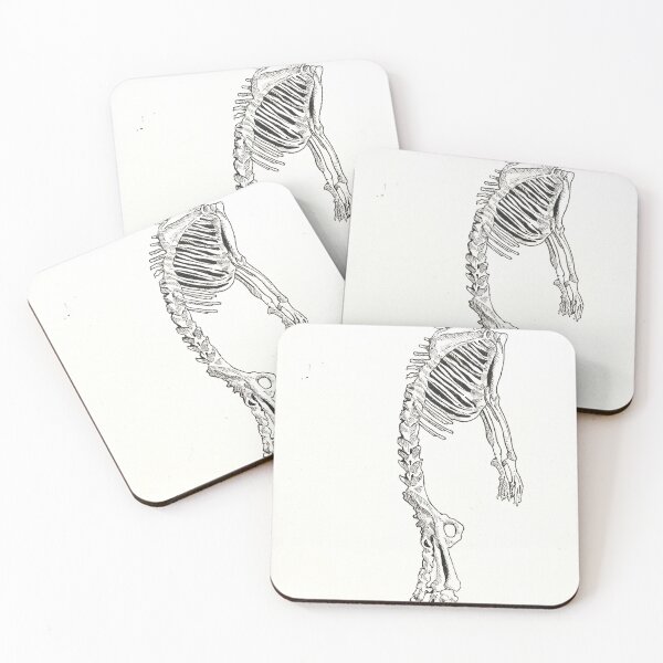 Item preview, Meerkat skeleton  designed and sold by chantalmclay.