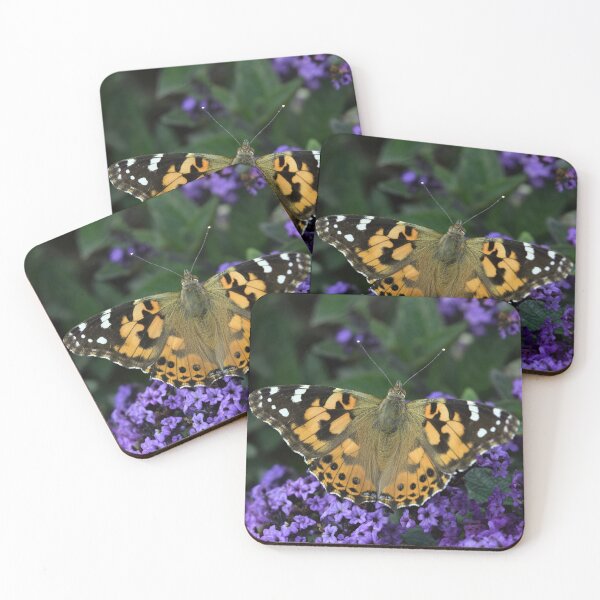 Item preview, Painted Lady on buddleja designed and sold by Tom McPherson Photography.