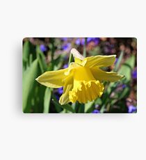 "Yellow Beauty" Canvas Print