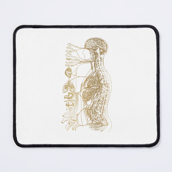 Item preview, Autonomic Nervous System designed and sold by Rosaliartbook.
